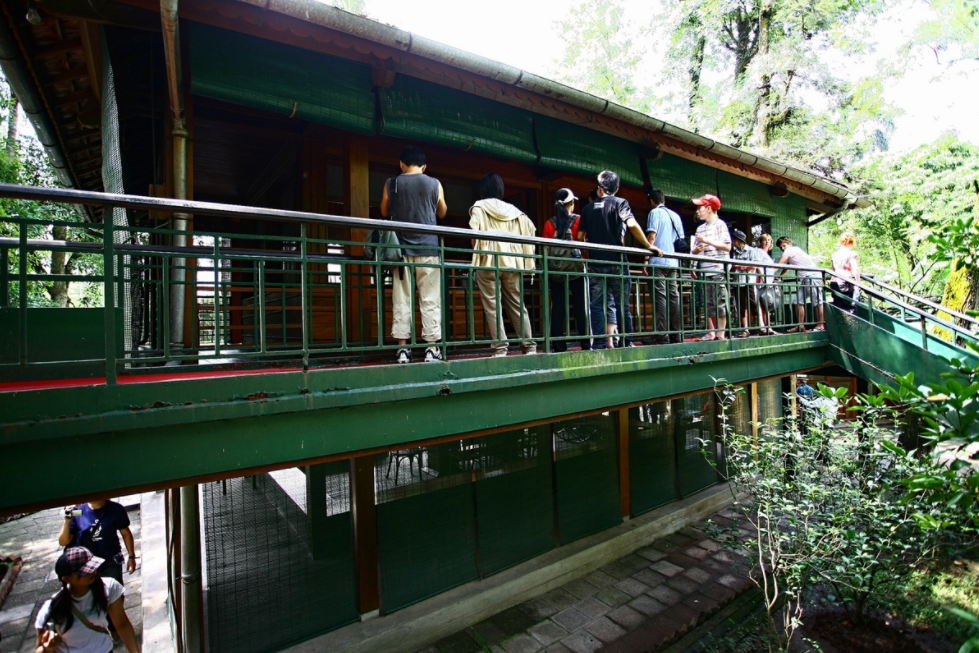 In photo: uncle ho's stilt house in an autumn morning