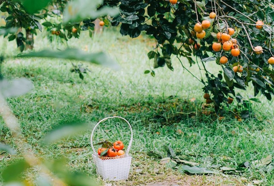 Early Autumn in Vietnamese Tourist Destinations