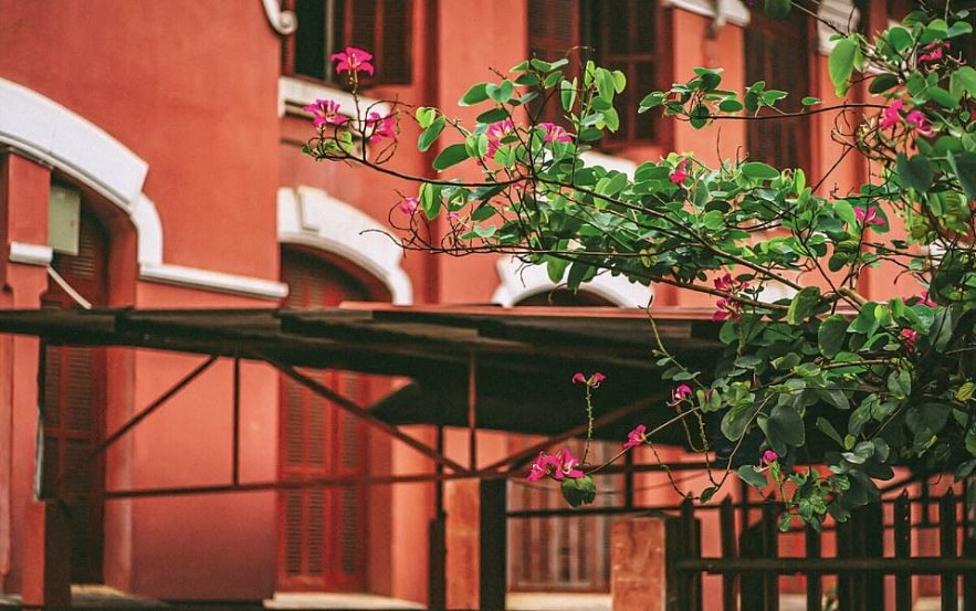 Photos: Idyllic Moments of Majestic Hue