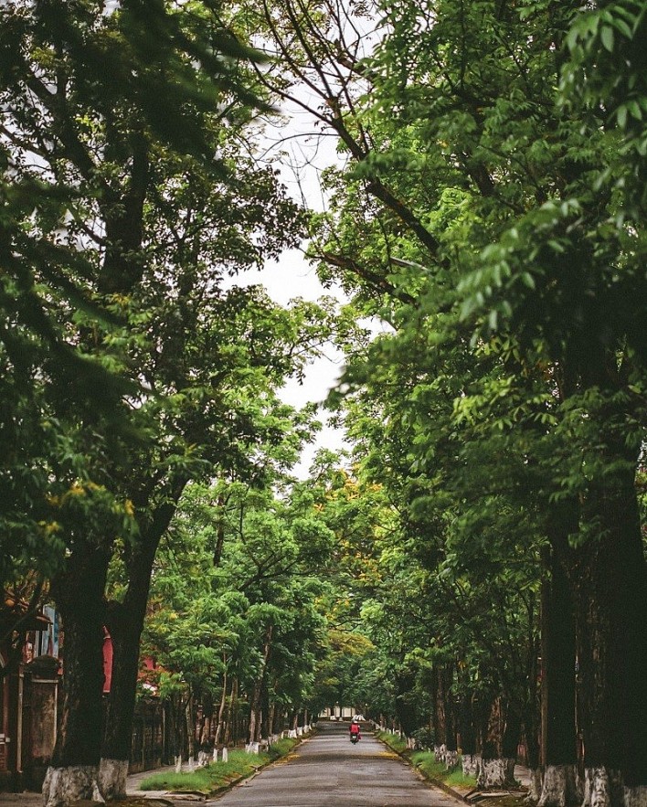 Photos: Idyllic Moments of Majestic Hue
