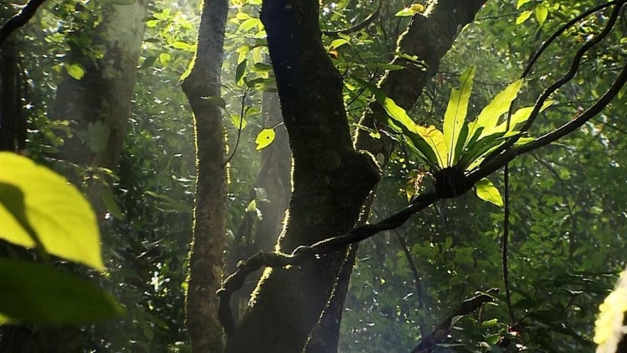 Pristine World Biosphere Reserves Recognized by UNESCO Pristine World Biosphere Reserves Recognized by UNESCO