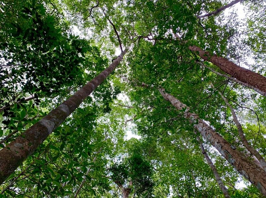 Pristine World Biosphere Reserves Recognized by UNESCO Pristine World Biosphere Reserves Recognized by UNESCO