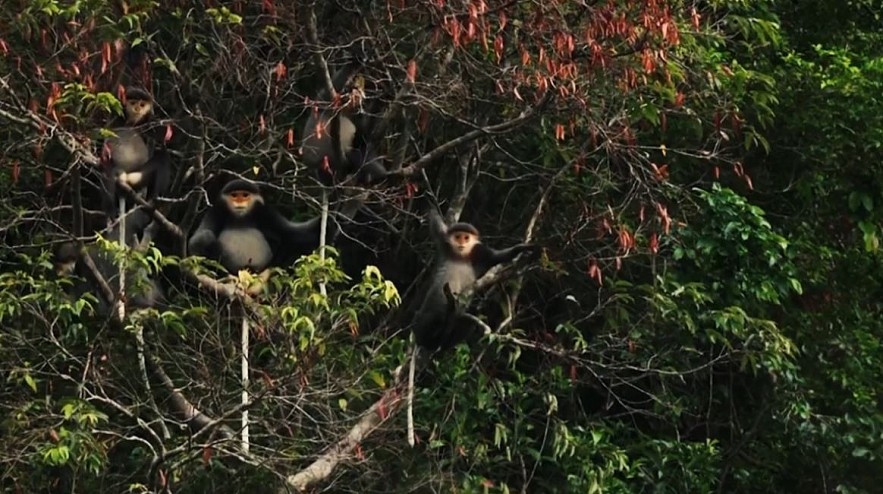 Pristine World Biosphere Reserves Recognized by UNESCO Pristine World Biosphere Reserves Recognized by UNESCO