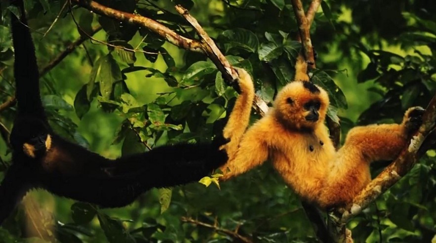 Pristine World Biosphere Reserves Recognized by UNESCO Pristine World Biosphere Reserves Recognized by UNESCO