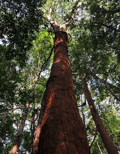 Pristine World Biosphere Reserves Recognized by UNESCO Pristine World Biosphere Reserves Recognized by UNESCO