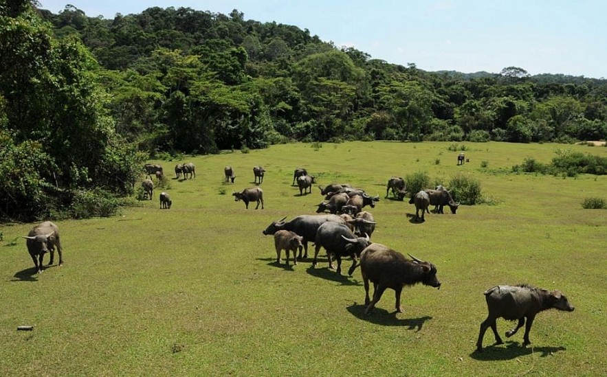 Pristine World Biosphere Reserves Recognized by UNESCO Pristine World Biosphere Reserves Recognized by UNESCO