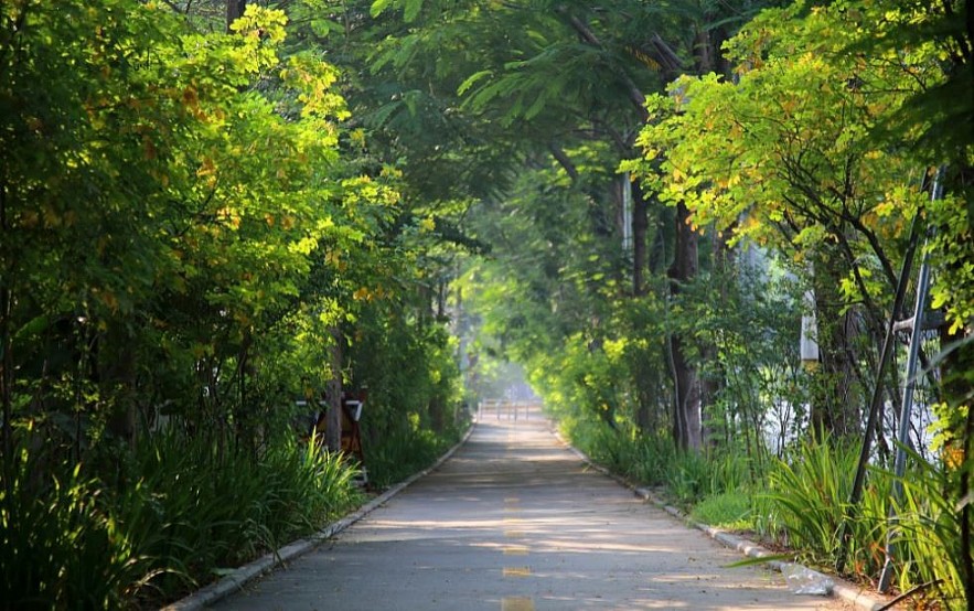 Restful Streets of Hanoi in Autumn