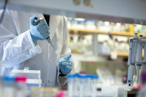 covid 19 updates october 1 free stay permit waivers extended until october 31