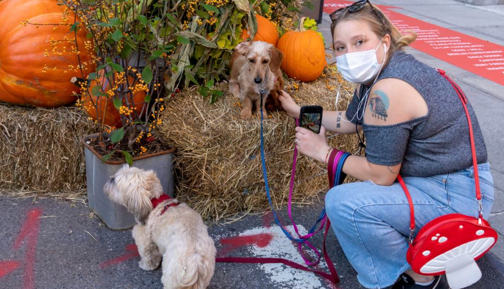 halloween amid pandemic crisis how countries deal