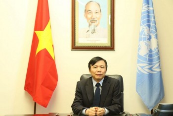 Vietnam Supports Human Rights Protection and Fair Distribution of Covid Vaccine