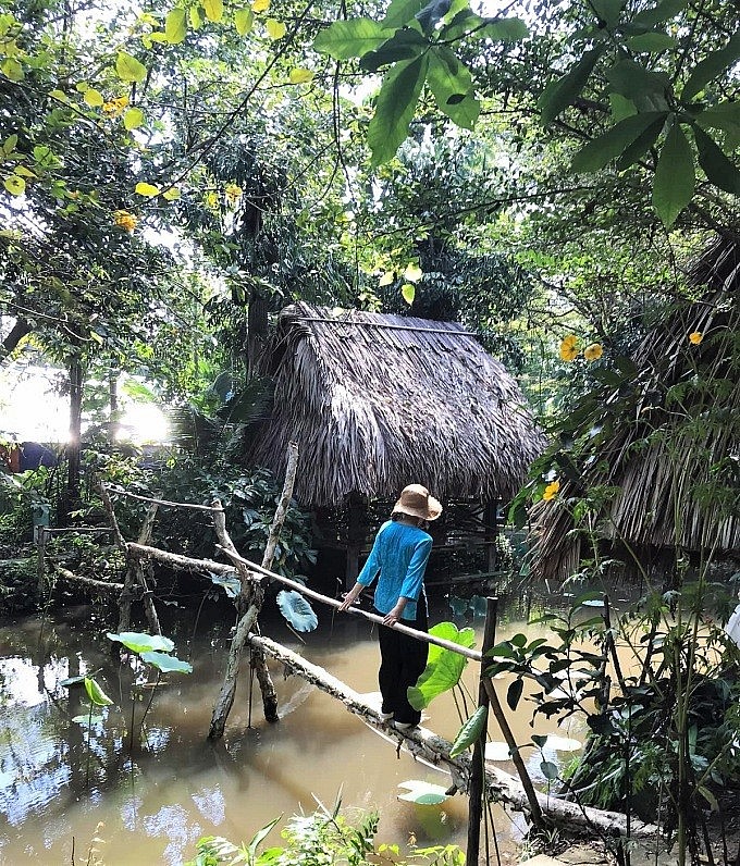 Tourists Join Farming in 4 Gardens Near HCMC