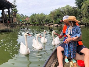 Tourists Join Farming in 4 Gardens Near HCMC