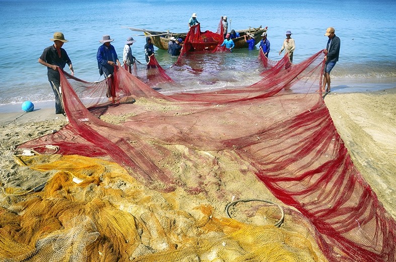 Exhibition Shows Beauty of Vietnam Through International Photographers' Works
