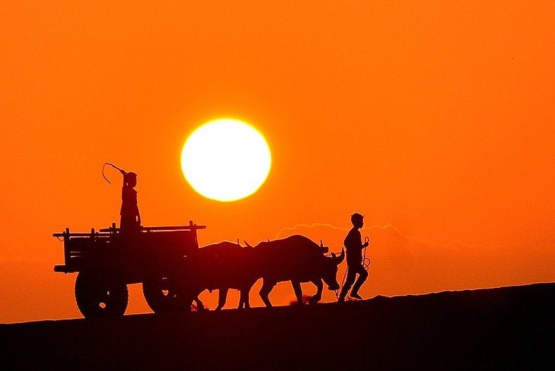 Exhibition Shows Beauty of Vietnam Through International Photographers' Works