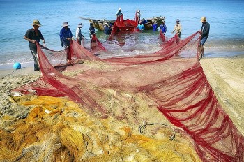 Exhibition Shows Beauty of Vietnam Through International Photographers' Works