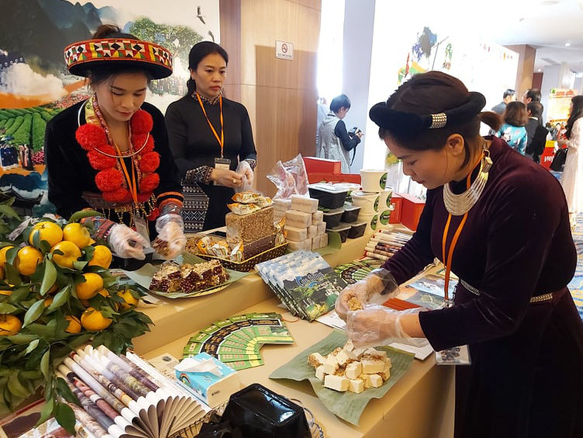 covid 19 stops 14 million foreigners from visiting vietnam in 2020