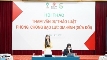 Social Organizations Aim to End Domestic Violence in Vietnam