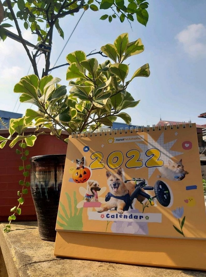 Fundraising Products for New Year Vacation: How NGOs Strive to Make Tet Warmer