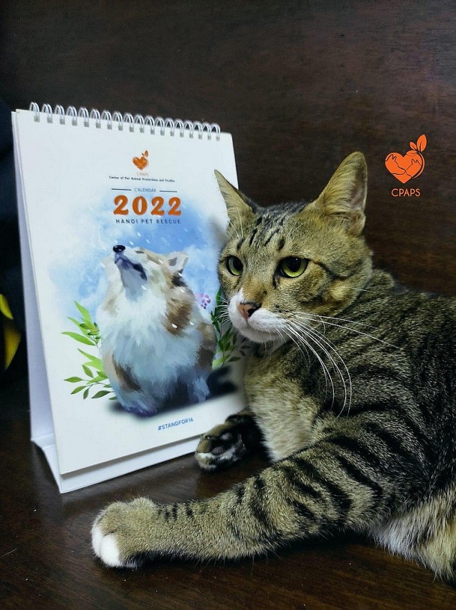 Fundraising Products for New Year Vacation: How NGOs Strive to Make Tet Warmer