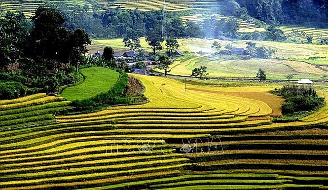 The soft terraced fields winding around the small houses intertwined with the afternoon smoke on Ta Leng attract tourists to Lai Chau. Photo: VNA