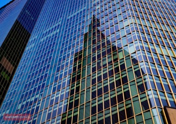 New Opportunities Attract FDI