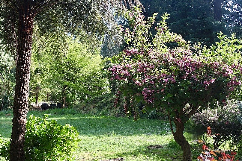 6,000 m2 Garden of a Vietnamese Mother in Australia
