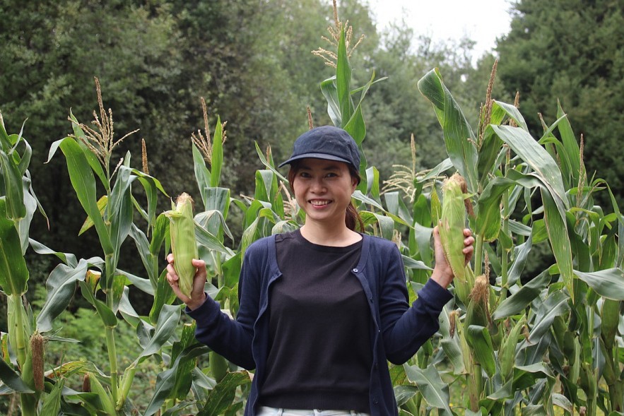 6,000 m2 Garden of a Vietnamese Mother in Australia
