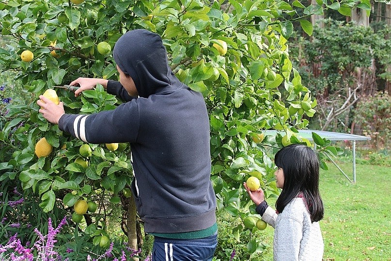 6,000 m2 Garden of a Vietnamese Mother in Australia