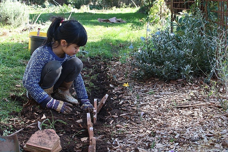 6,000 m2 Garden of a Vietnamese Mother in Australia