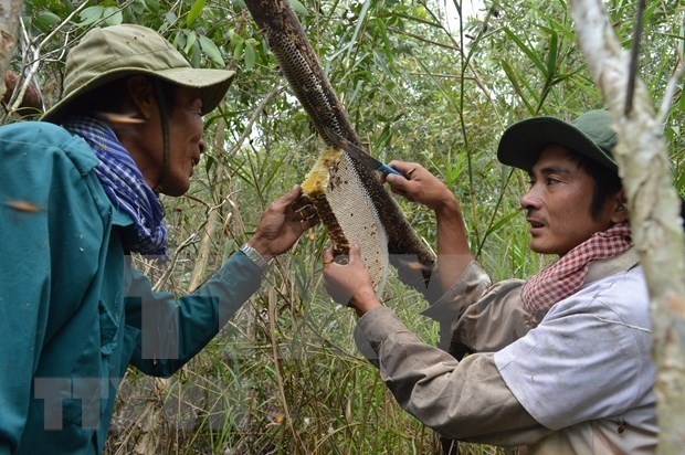 Ca Mau’s pristine sites and cultural values magnet for tourists