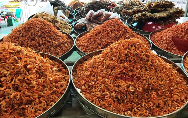 Ca Mau’s pristine sites and cultural values magnet for tourists