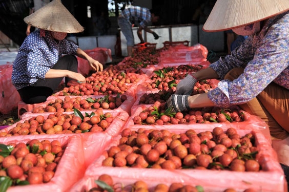 Agriculture ministry proposes solutions to remove congestion of farm produce circulation