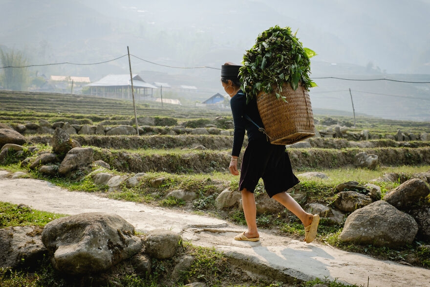 Vietnam Through The Lens of An Ukrainian Photographer