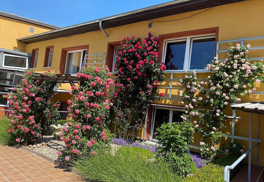 Overseas Vietnamese Woman Grows Blooming Garden in Germany