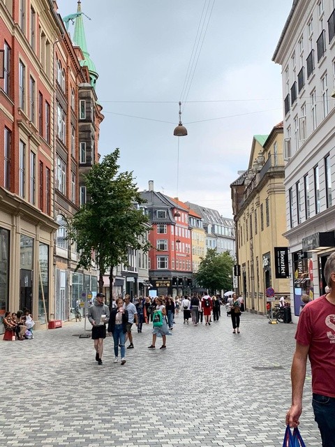 in denmark covid 19 seems to have never existed