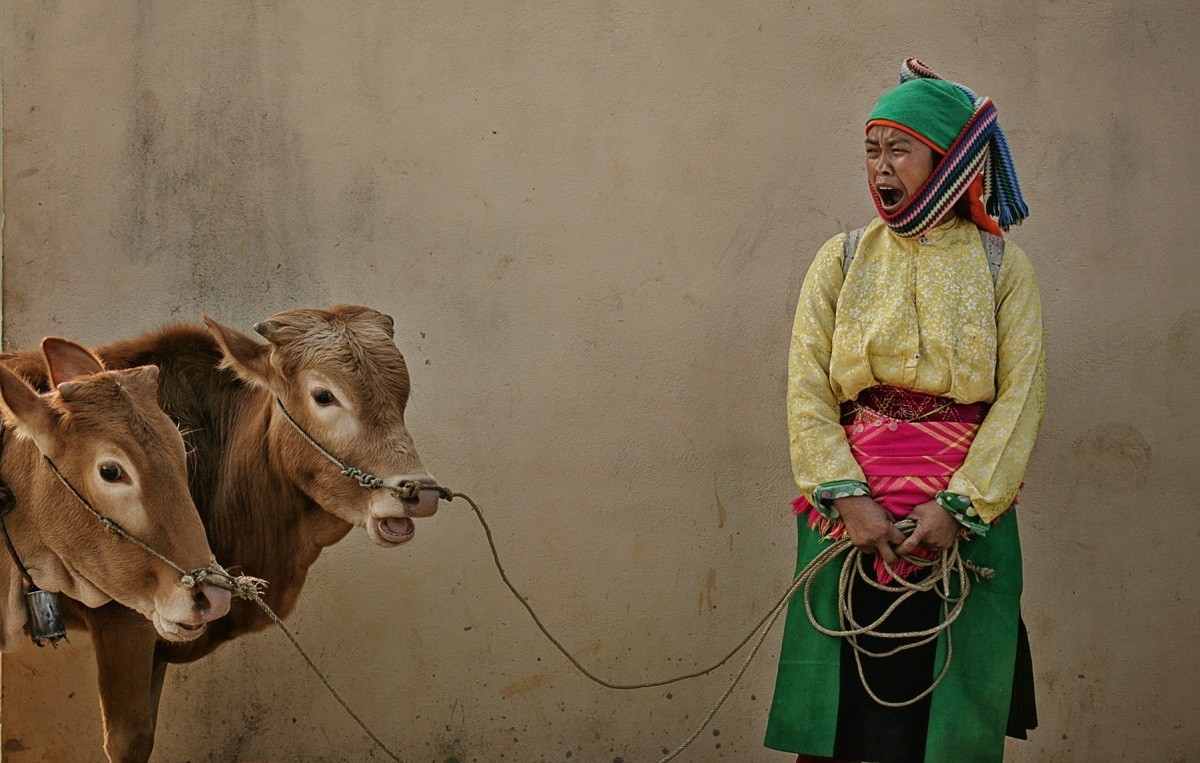 photographer wins dozens of international prizes for photos of vietnams highlands