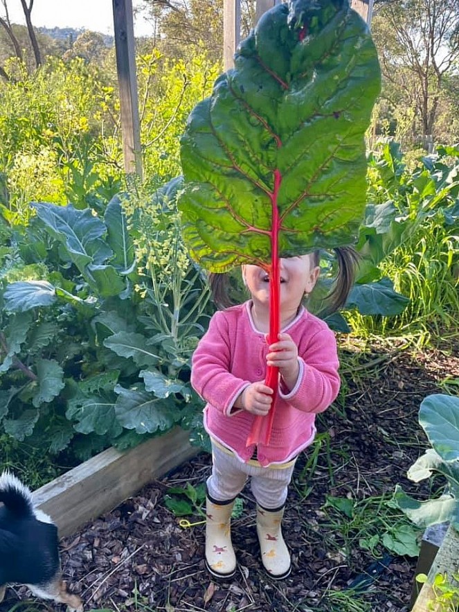 Beets by Tu Anh: Vietnamese Expat Grows Giant Produce in Australia