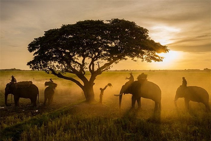 Thai Photographer Interested In Rural Areas Of Three Mekong Countries
