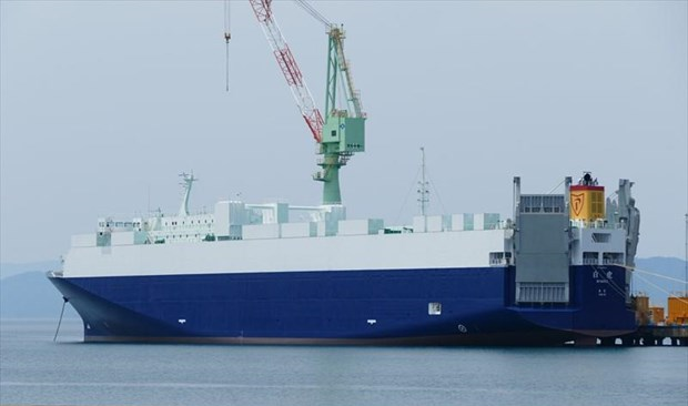 11,000-ton Japanese cargo ship sank after collision