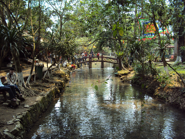 Cam Luong stream: home to 'soldier fish' that nobody dares catch