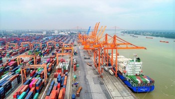 Exports, Imports Fall in August Due to Covid