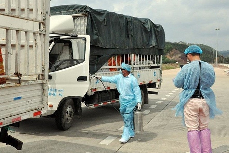 China Resumes Provision of Custom Clearance for Vietnamese Dragon Fruit