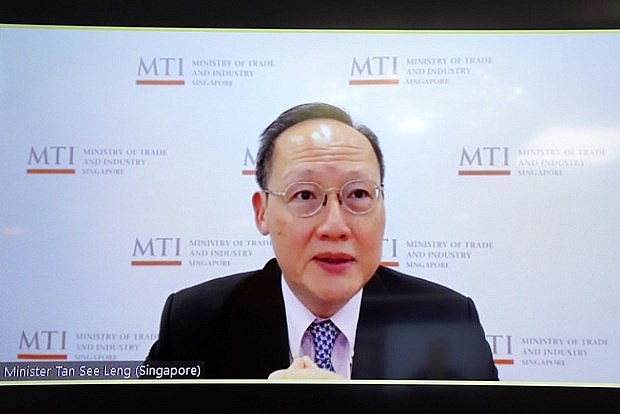 Ministers of Vietnam, Singapore Meet Online