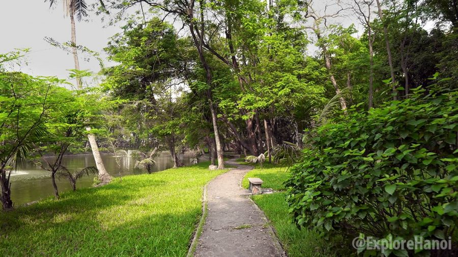 Bach Thao Park: A peaceful green heaven in the heart of Hanoi
