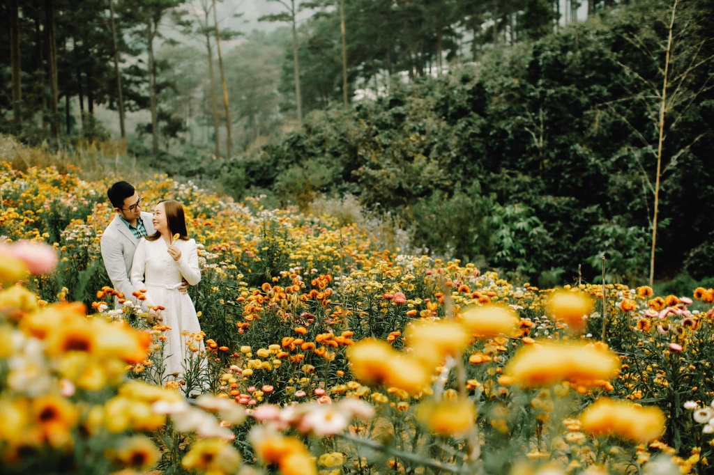 Strawflower is the symbol of eternal love.This heat-loving, drought-tolerant plant is valued for its charming, straw-like blooms in bright shades of red, orange, pink, purple, yellow, and white. (Photo: Kei) 0554-152929134-3817462091646984-5553285448325807962-o