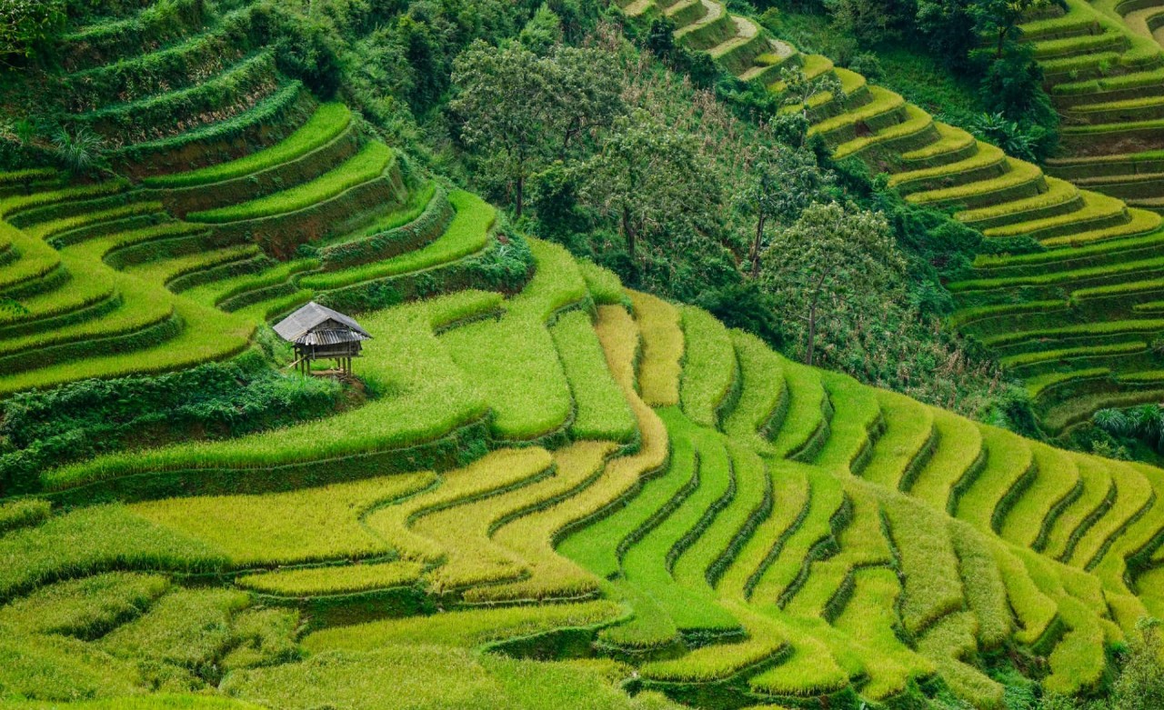 Photo: Shutterstock 
