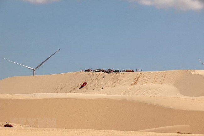 The Wilderness Beauty Of “Little Sahara Desert” In Binh Thuan
