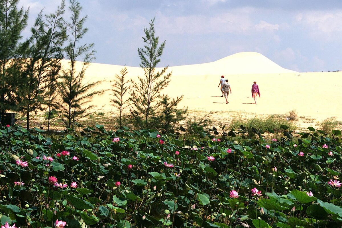 The stories of Bau Trang date back to a long time ago, when Bau Trang was one giant lake. To facilitate traffic across the area, a sand road was constructed and hence, divided the lake into two separate parts, namely Bau Ba (Bàu Bà) and Bau Ong (Bàu Ông). In the summer, the water surface of Bau Ba is covered by clusters of lotuses, creating a scenic, mesmerizing landscape. Tourists arriving to Bau Trang can also experience some of the entertaining activities such as rowing, fishing, kayaking, driving on Terrain Vehicles, camping… The stories of Bau Trang date back to a long time ago, when Bau Trang was one giant lake. To facilitate traffic across the area, a sand road was constructed and hence, divided the lake into two separate parts, namely Bau Ba (Bàu Bà) and Bau Ong (Bàu Ông). In the summer, the water surface of Bau Ba is covered by clusters of lotuses, creating a scenic, mesmerizing landscape. Tourists arriving to Bau Trang can also experience some of the entertaining activities such as rowing, fishing, kayaking, driving on Terrain Vehicles, camping…