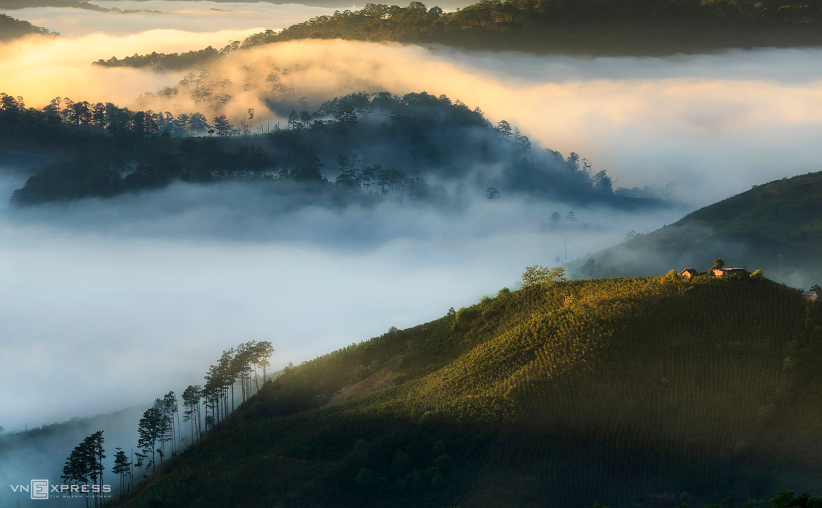 A cloud of white mist passing by Dasar Hill and the pine wood in Lac Duong District. (Photo: VnExpress) A cloud of white mist passing by Dasar Hill and the pine wood in Lac Duong District. (Photo: VnExpress)