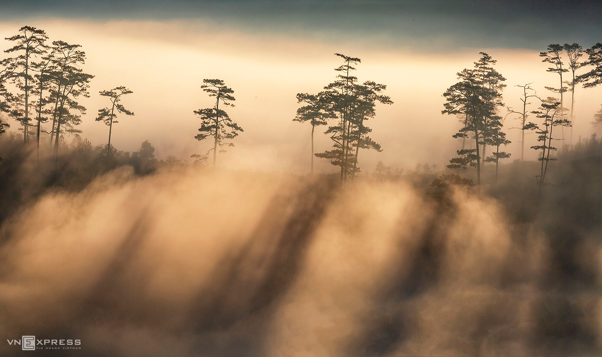 City in the clouds: epic photos of Dalat's misty season